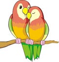 Love Birds