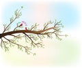 Branch tree with red love birds Royalty Free Stock Photo