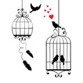 Love birds and cages Royalty Free Stock Photo