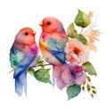 Watercolor Love Birds couple with flower, Watercolor style isolated on white background. Royalty Free Stock Photo