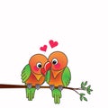 Love Birds in love on isolate white background Royalty Free Stock Photo