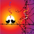 Love, birds kissing on branch Royalty Free Stock Photo