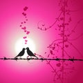 Love, birds kissing on branch Royalty Free Stock Photo