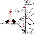 Love, birds kissing on branch Royalty Free Stock Photo