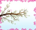 Love Birds in a spring branch tree vector image Royalty Free Stock Photo