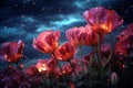 Love blossoms under the magical hues of an aurora with red roses, valentine, dating and love proposal image