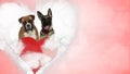 In love Boxer and German Shepherd sitting on love cloud Royalty Free Stock Photo