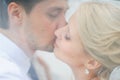 Love the bride and groom are covered with a veil and kiss Royalty Free Stock Photo
