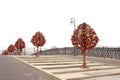 Love bridge with trees for wedding of locks Royalty Free Stock Photo