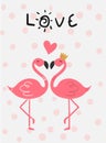 Love card pink flamingo in love kissing Royalty Free Stock Photo