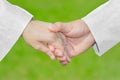 Love Care Symbol, Hand Holding Hand With White Suit&Dress, Sex,