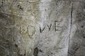 Love carving on a tree bark Royalty Free Stock Photo