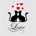 Love cats