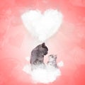 In love cats sitting on a puffy cloud celebrate valentine`s