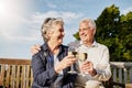 Love, cheers and wine glass, old couple in summer to celebrate romance or anniversary on patio of vacation home