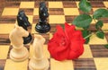 Love for chess Royalty Free Stock Photo