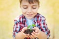 Close up of a little boy holding handful of soil