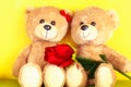 Love concept of couple teddy bear with red rose for valentines Royalty Free Stock Photo