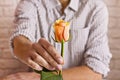 Love concept. Man holding orange rose in hands. Valentine`s postcard