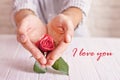 Love concept. Man holding orange rose in heart shaped hands. Valentine`s postcard Royalty Free Stock Photo