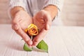 Love concept. Man holding orange rose in heart shaped hands. Valentine`s postcard Royalty Free Stock Photo