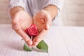 Love concept. Man holding orange rose in heart shaped hands. Valentine`s postcard