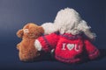 Love concept peluches