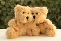 Love couple fluffy Teddy bears Vegetation background Royalty Free Stock Photo