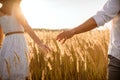 Love couple hold hands in a rye field on sunset