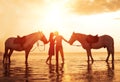 In love couple kissing on the beach. Two horses at sunset, summer scene. sunset in the sea Royalty Free Stock Photo