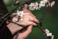 Hands of a young couple with a ring. close up of man giving diamond ring to woman Royalty Free Stock Photo