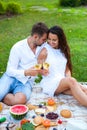 Love couple on Summer Picnic Basket on the Green Grass. Food and