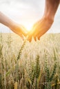 Love couple taking hands and walking on golden wheat field over beautiful sunset. Royalty Free Stock Photo