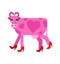 Love cow. A COW with hearts is a symbol of love and fidelity. February 14 Valentine\'s Day Royalty Free Stock Photo