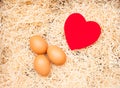 Love cradle and egg with red heart and straw