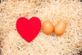 Love cradle and egg with red heart and straw