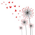 Card happy valentine`s day. Beautiful dandelion. abstract flower of heart on white background. Love Dandelion Royalty Free Stock Photo