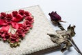 Love diary and Roses wilt on white canvas background