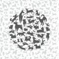 background composed of simplified dog silhouettes