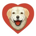 The love of dogs Labrador