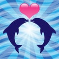 Love dolphins