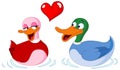 In love ducks Royalty Free Stock Photo