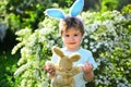 Love easter. Family holiday. Egg hunt on spring holiday. Happy easter. Childhood. Little boy child in green forest Royalty Free Stock Photo