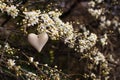 stone heart in plum blossom garden