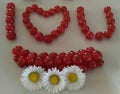 Love expression written with red berries