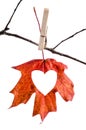 Love fall Royalty Free Stock Photo