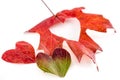 Love fall Royalty Free Stock Photo