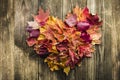 Love Fall Leafs in shape of a heart. Royalty Free Stock Photo