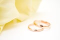 love, family, celebration, ceremony concept -wedding symbols two golden rings with callas white flowers Royalty Free Stock Photo