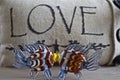 Love fish kissing home decor Royalty Free Stock Photo